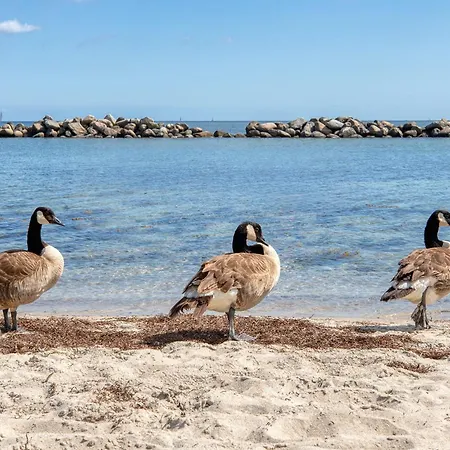 Apartamento Strandkoje