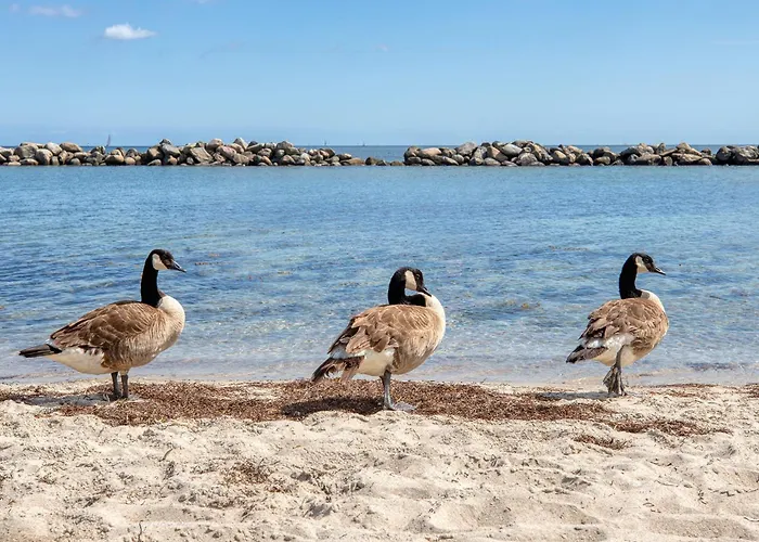 Apartamento Strandkoje